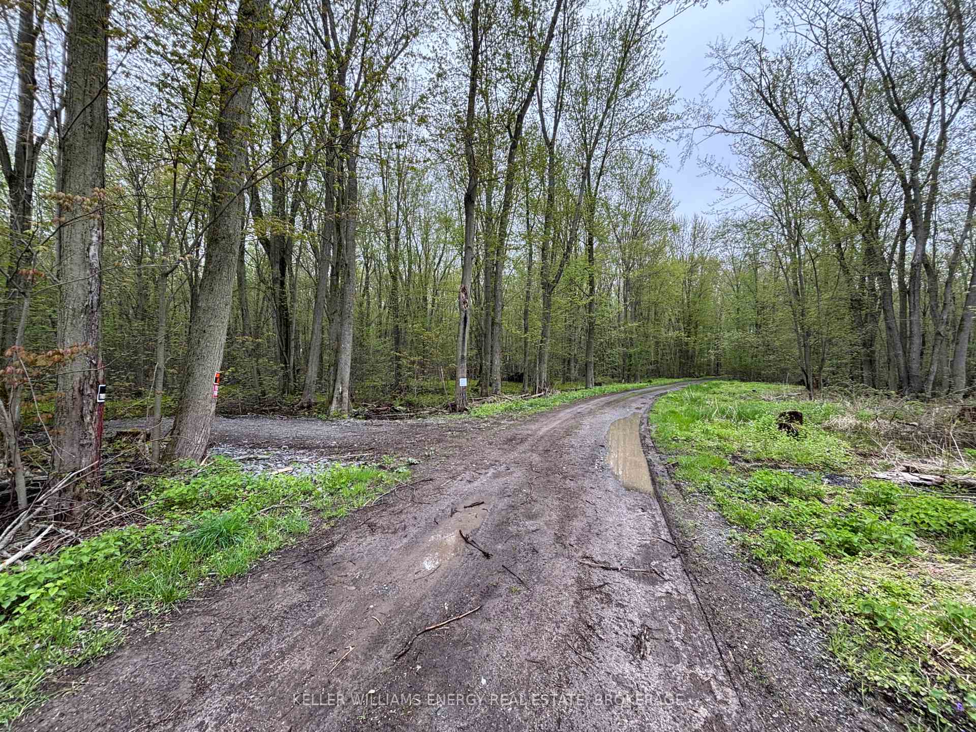 Photo 5 of PT LT 53-54 Con 2, Prince Edward County, Sophiasburg Ward — HOMEH