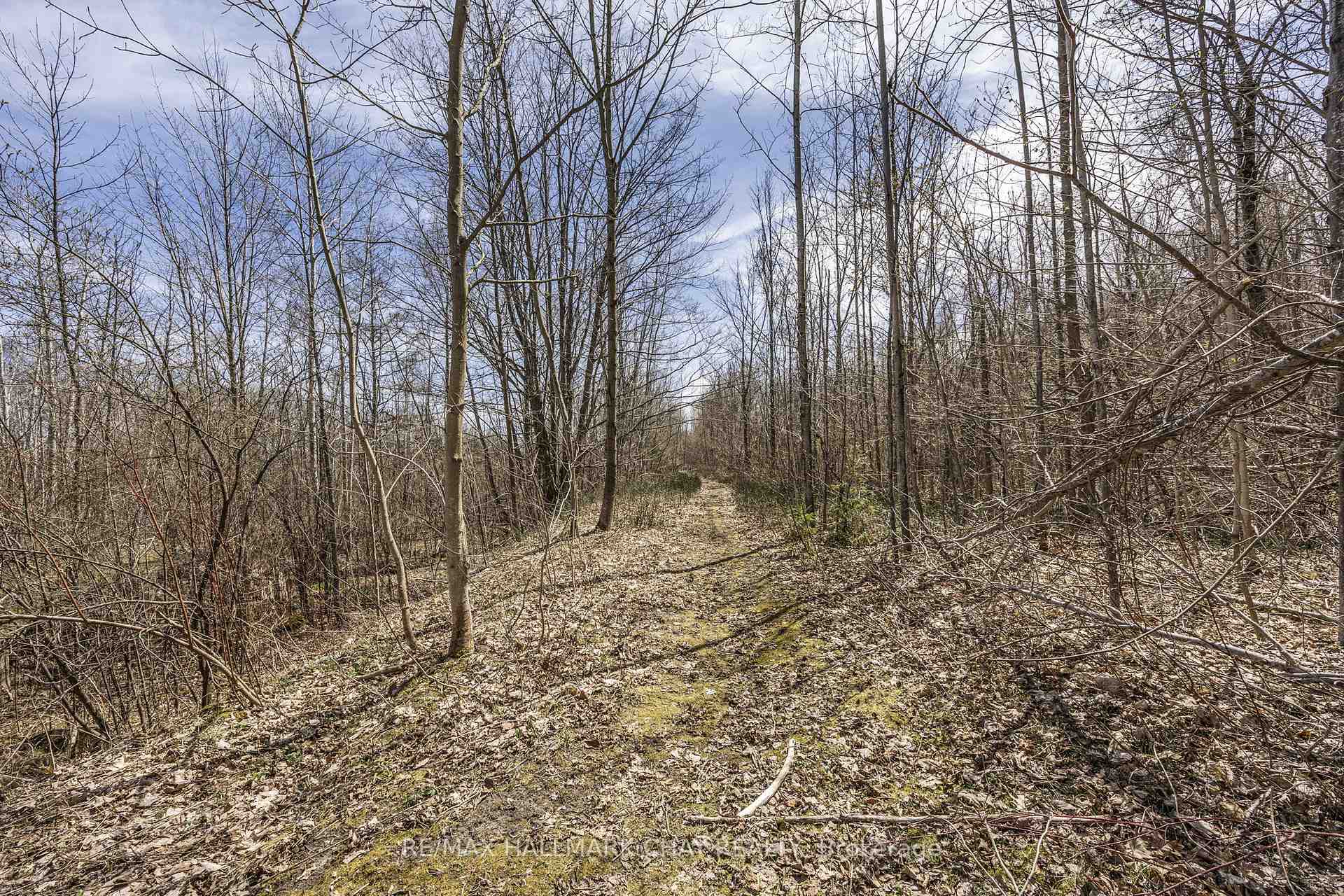 Photo 25 of 13064 County Rd 16, Severn, Fesserton — HOMEH