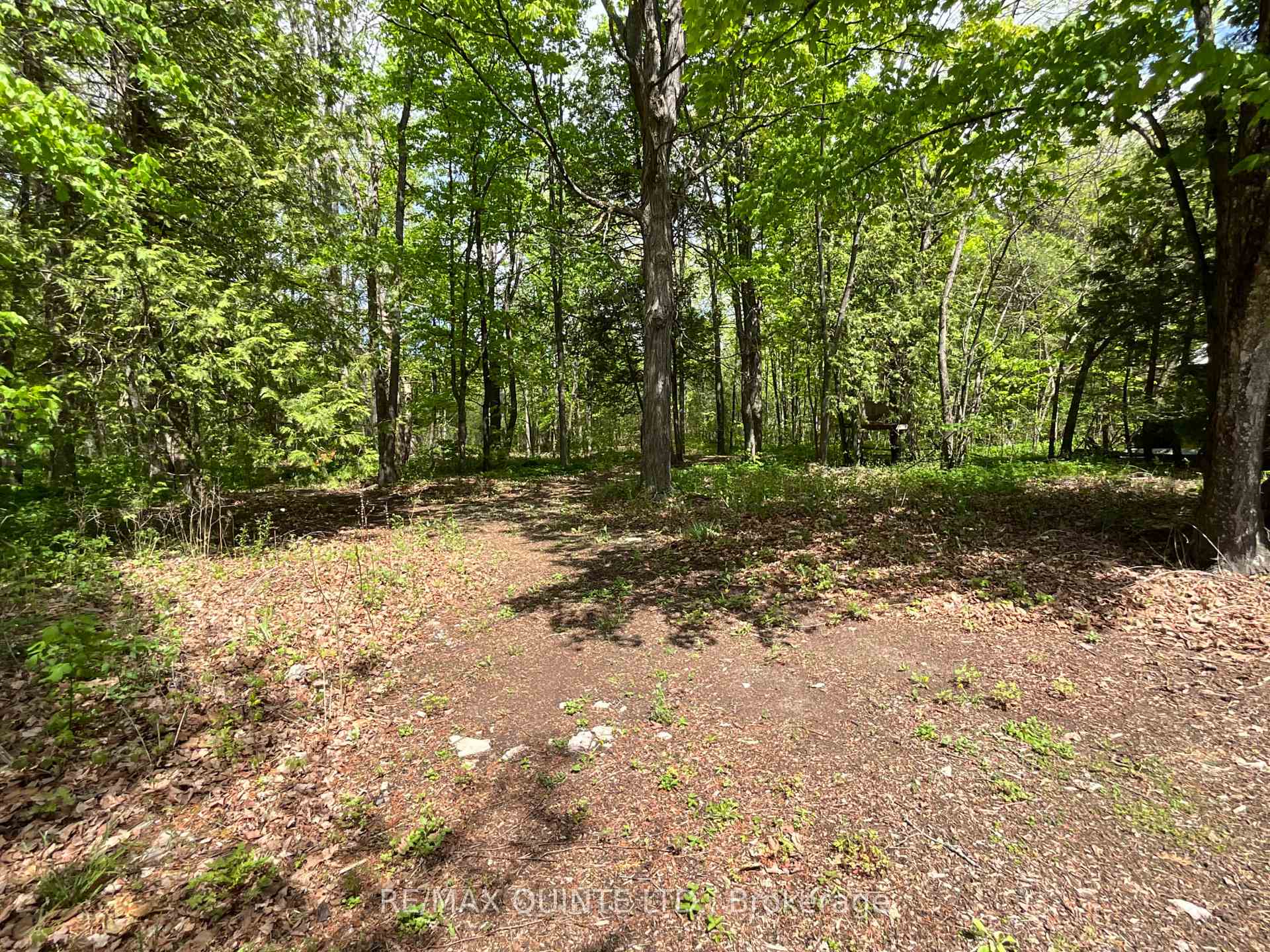 Photo 17 of 405 Scuttlehole Road, Belleville, Thurlow Ward — HOMEH