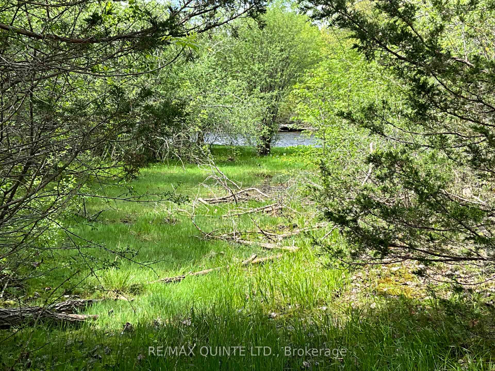 Photo 8 of 405 Scuttlehole Road, Belleville, Thurlow Ward — HOMEH