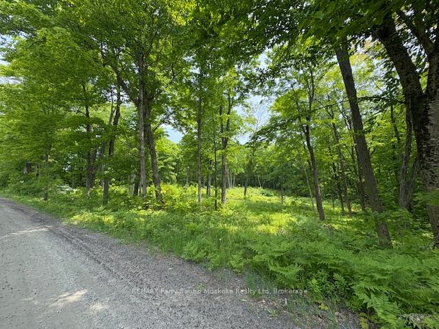 Photo 2 of Loucks Road, Seguin — HOMEH