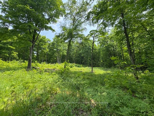 Photo 12 of Loucks Road, Seguin — HOMEH