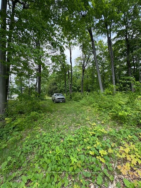 Photo 7 of Loucks Road, Seguin — HOMEH
