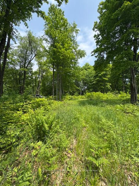 Photo 4 of Loucks Road, Seguin — HOMEH