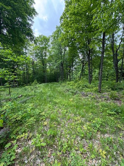 Photo 5 of Loucks Road, Seguin — HOMEH