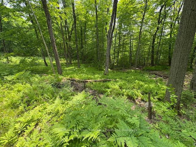 Photo 6 of Loucks Road, Seguin — HOMEH