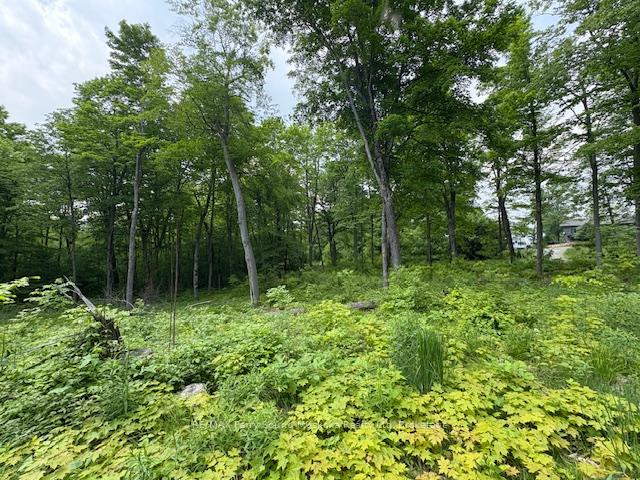 Photo 8 of Loucks Road, Seguin — HOMEH