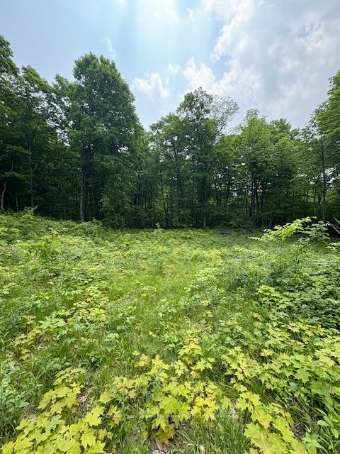 Photo 10 of Loucks Road, Seguin — HOMEH