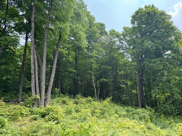 Photo 9 of Loucks Road, Seguin — HOMEH