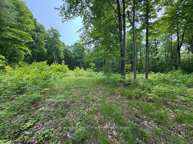 Photo 11 of Loucks Road, Seguin — HOMEH