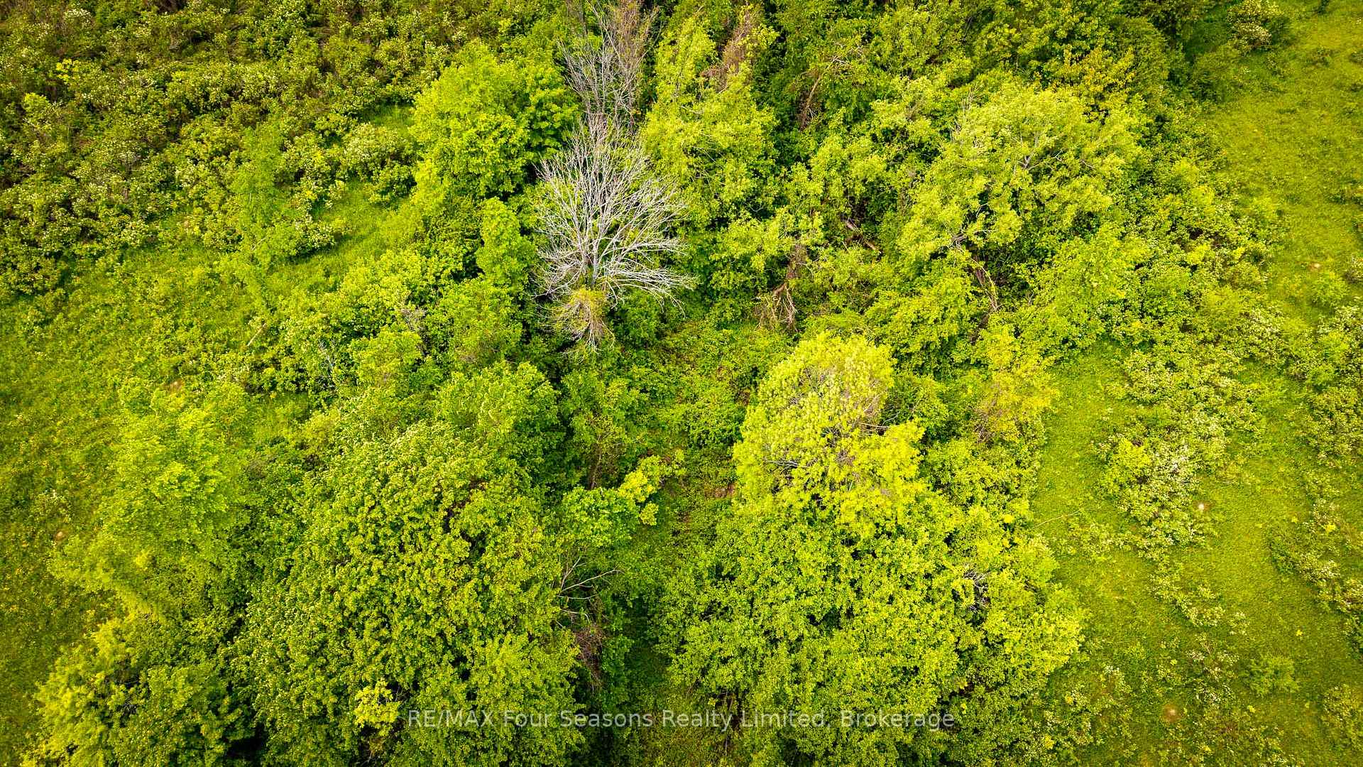 Photo 11 of CON 7 21 Side Road, Blue Mountains — HOMEH