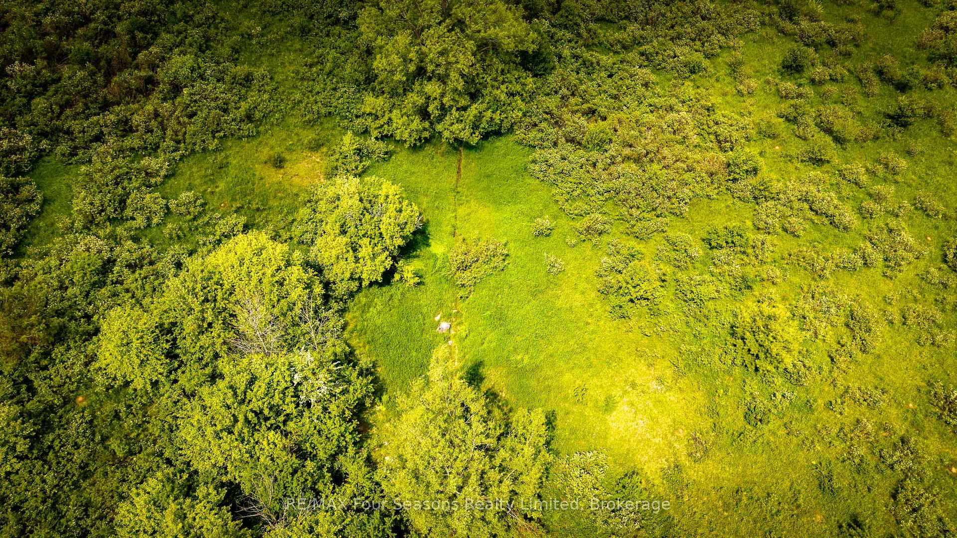 Photo 12 of CON 7 21 Side Road, Blue Mountains — HOMEH