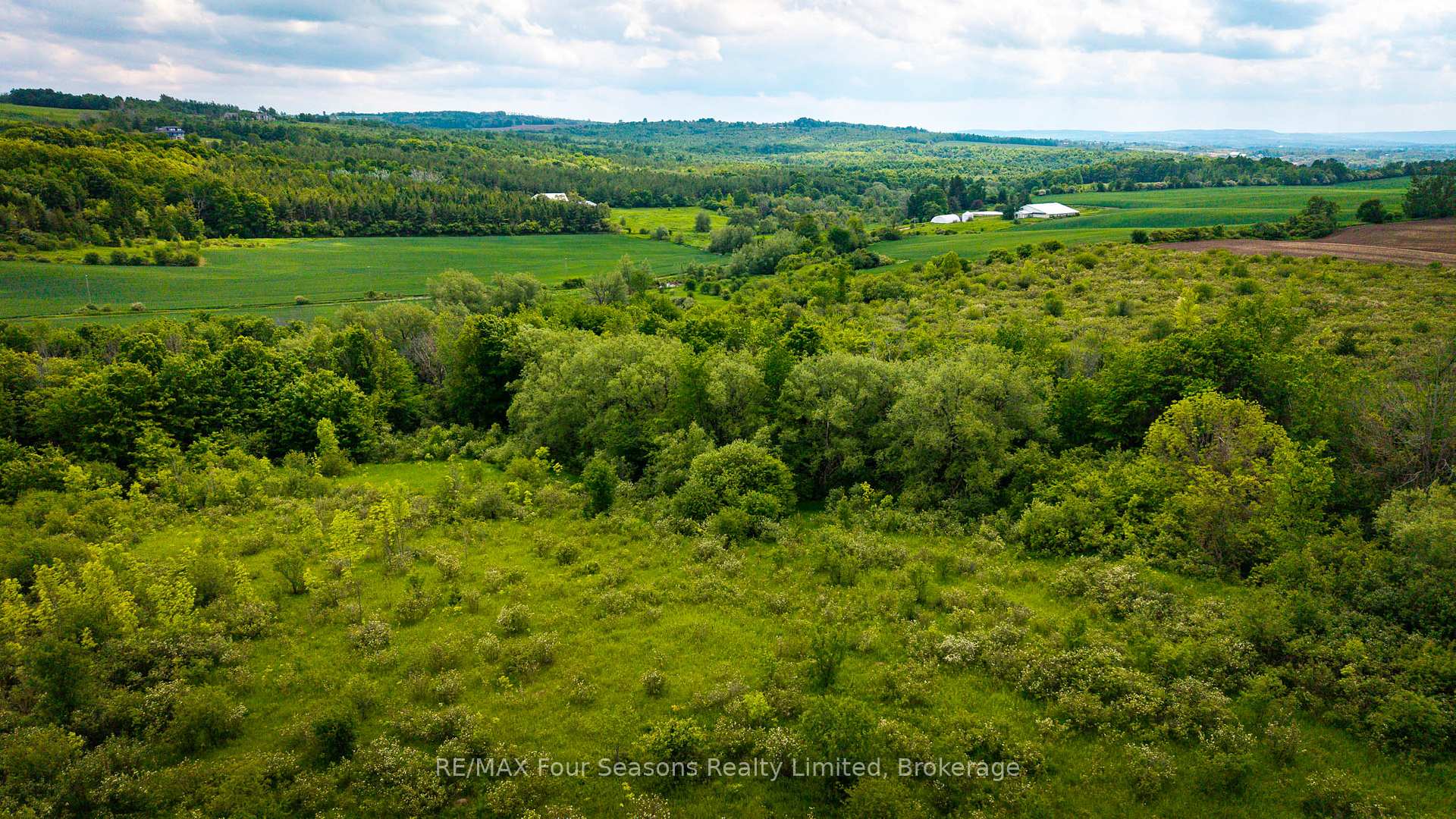 Photo 8 of CON 7 21 Side Road, Blue Mountains — HOMEH