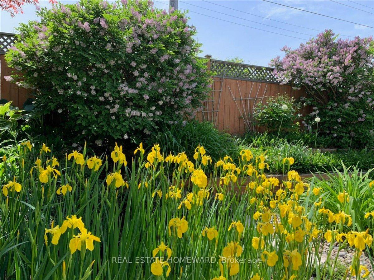 Photo 41 of 339 Bushview Crescent, Waterloo — HOMEH