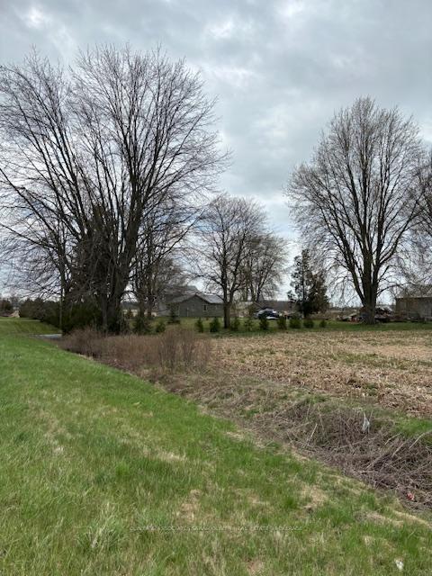 Photo 7 of 1075 Cairo Road, Dawn-Euphemia — HOMEH