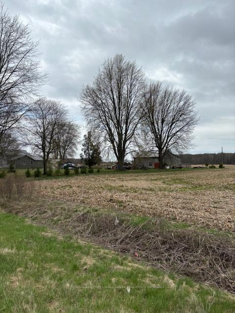 Photo 6 of 1075 Cairo Road, Dawn-Euphemia — HOMEH