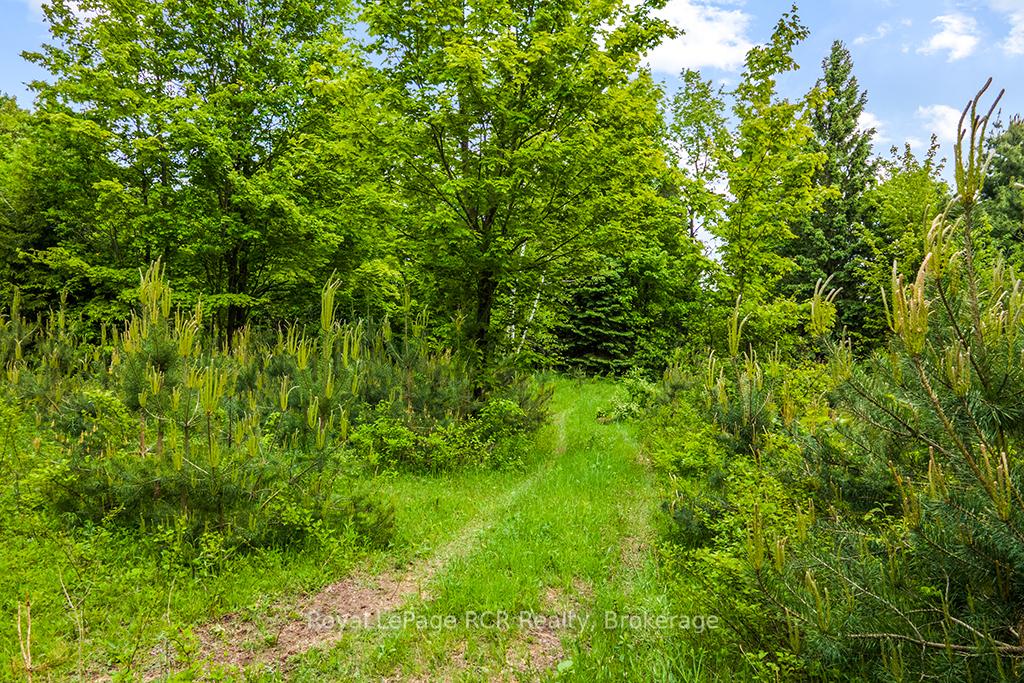 Photo 46 of 796172 East Back Line, Chatsworth — HOMEH