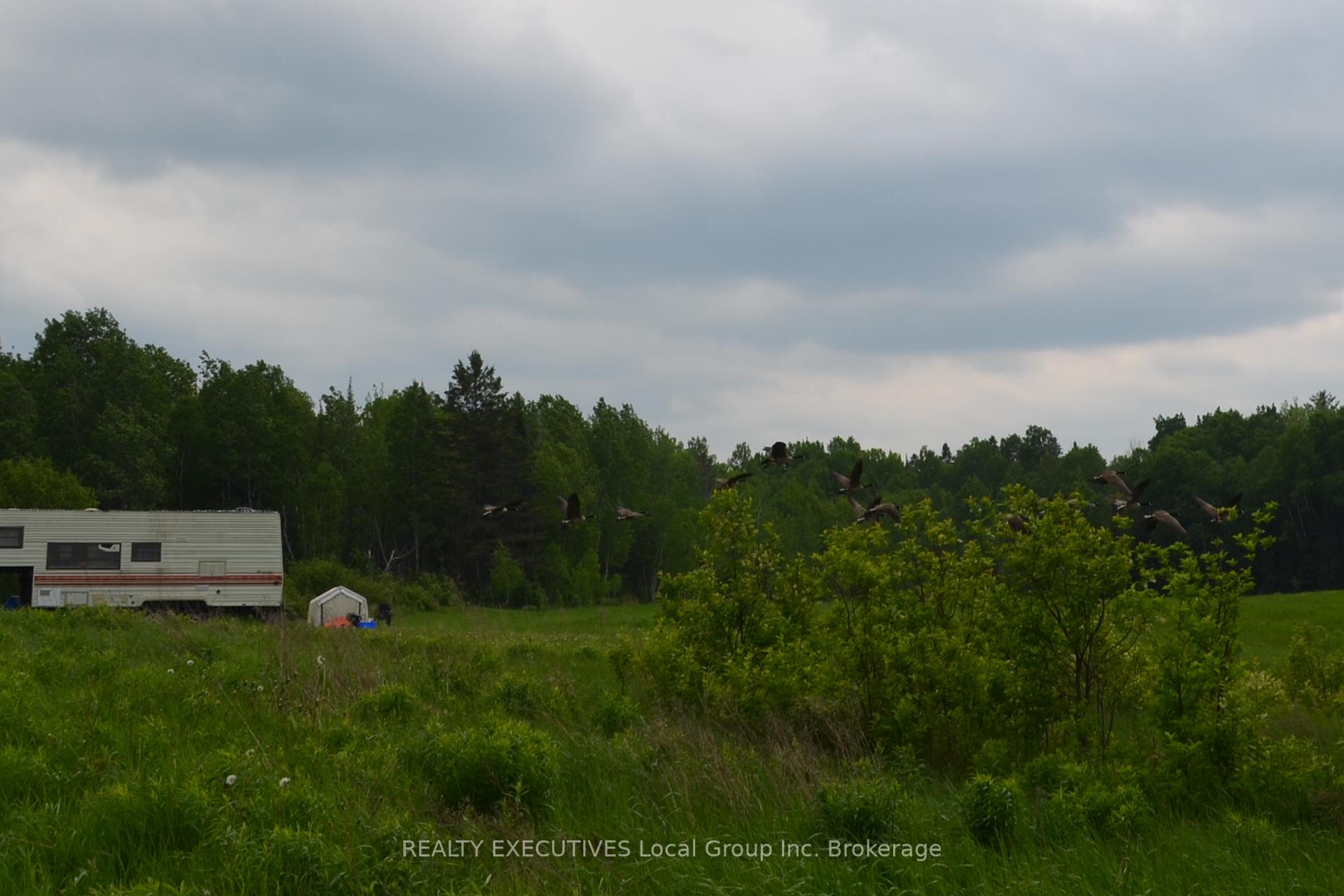 Photo 5 of 232 MacPherson Drive, East Ferris — HOMEH