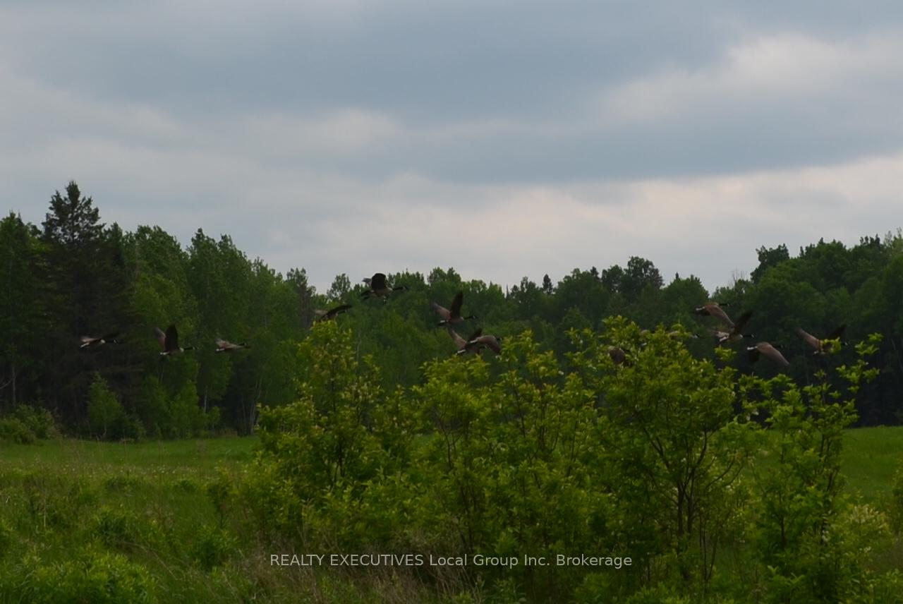 Photo 2 of 232 MacPherson Drive, East Ferris — HOMEH
