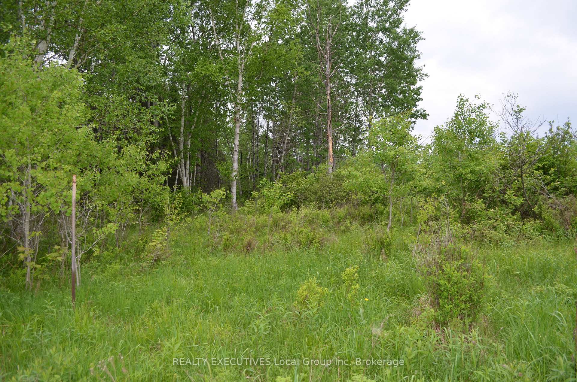 Photo 8 of 232 MacPherson Drive, East Ferris — HOMEH
