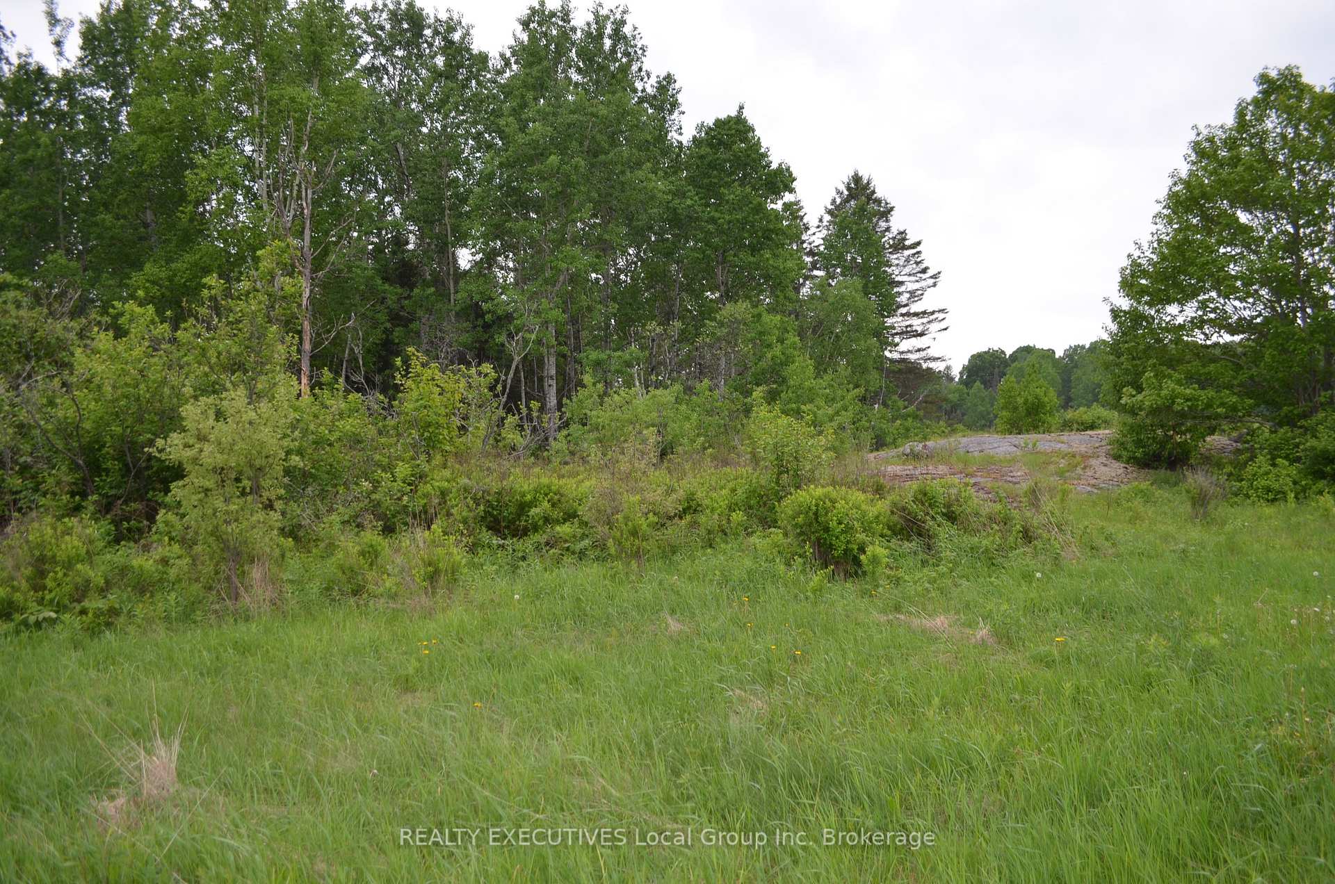 Photo 16 of 232 MacPherson Drive, East Ferris — HOMEH
