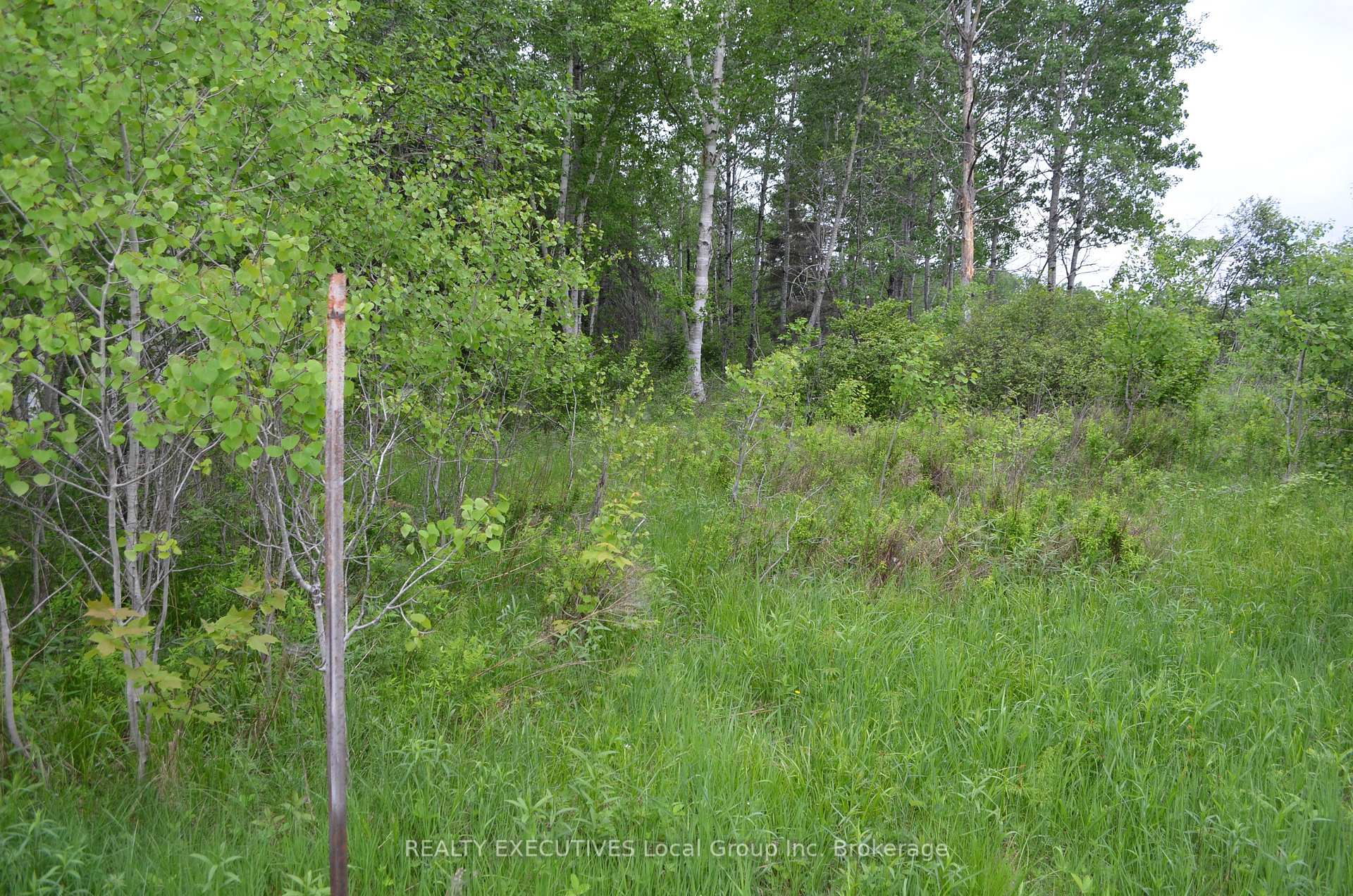 Photo 9 of 232 MacPherson Drive, East Ferris — HOMEH