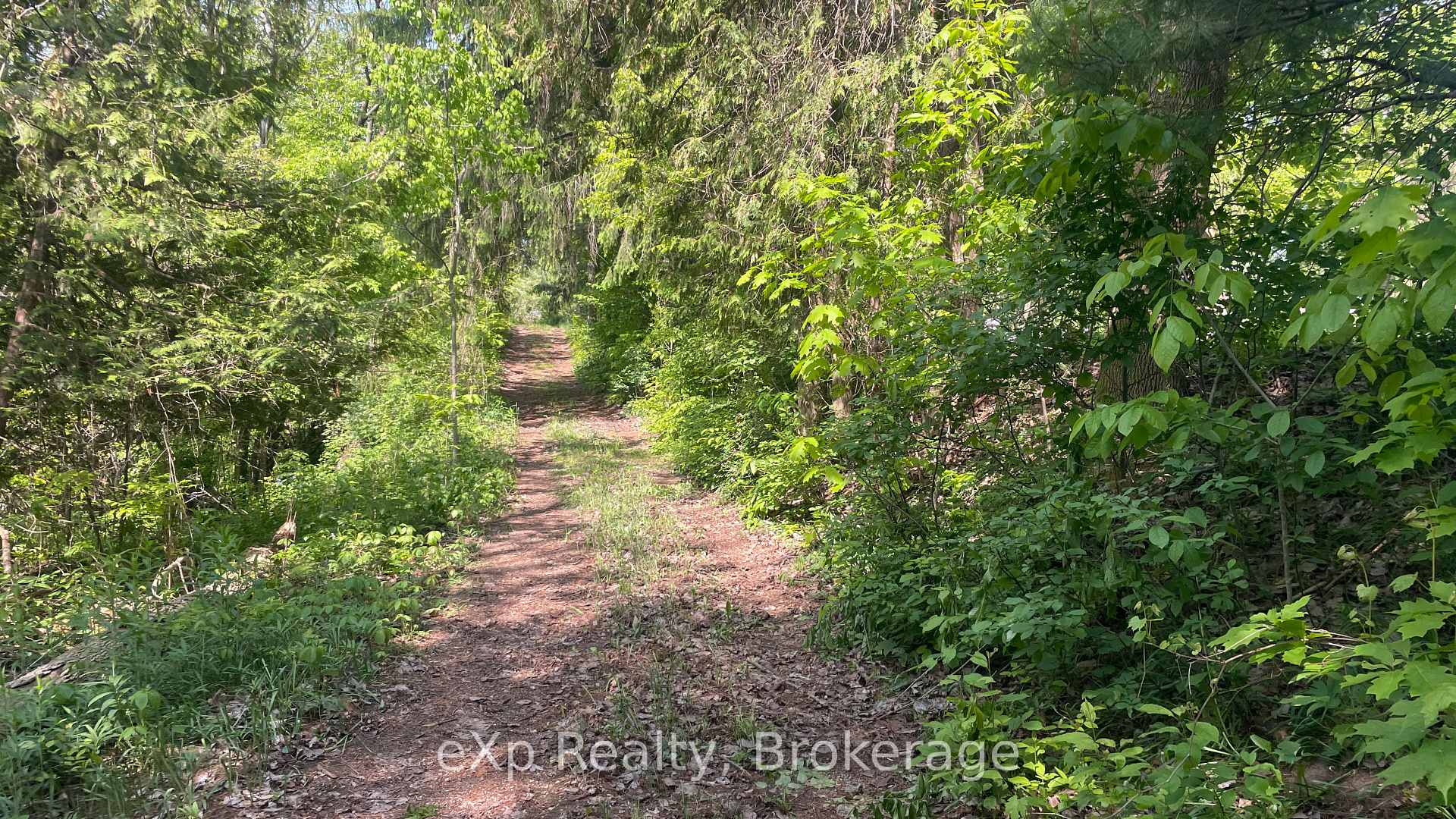 Photo 12 of 45 7th Avenue, Hanover — HOMEH