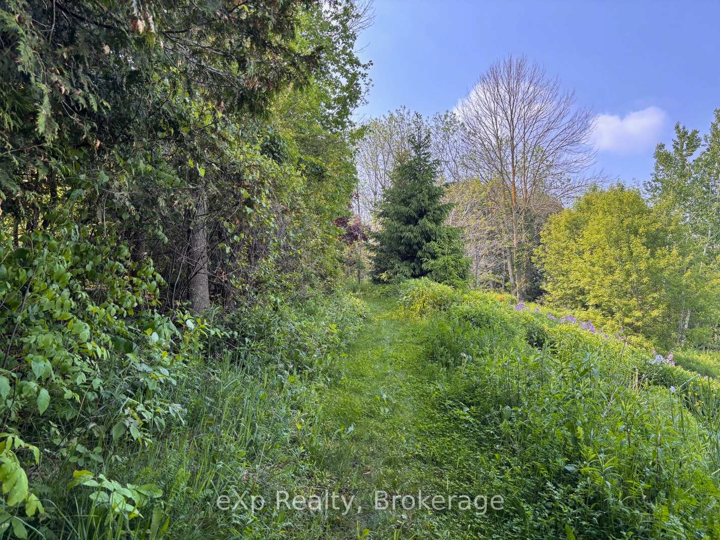 Photo 5 of 45 7th Avenue, Hanover — HOMEH