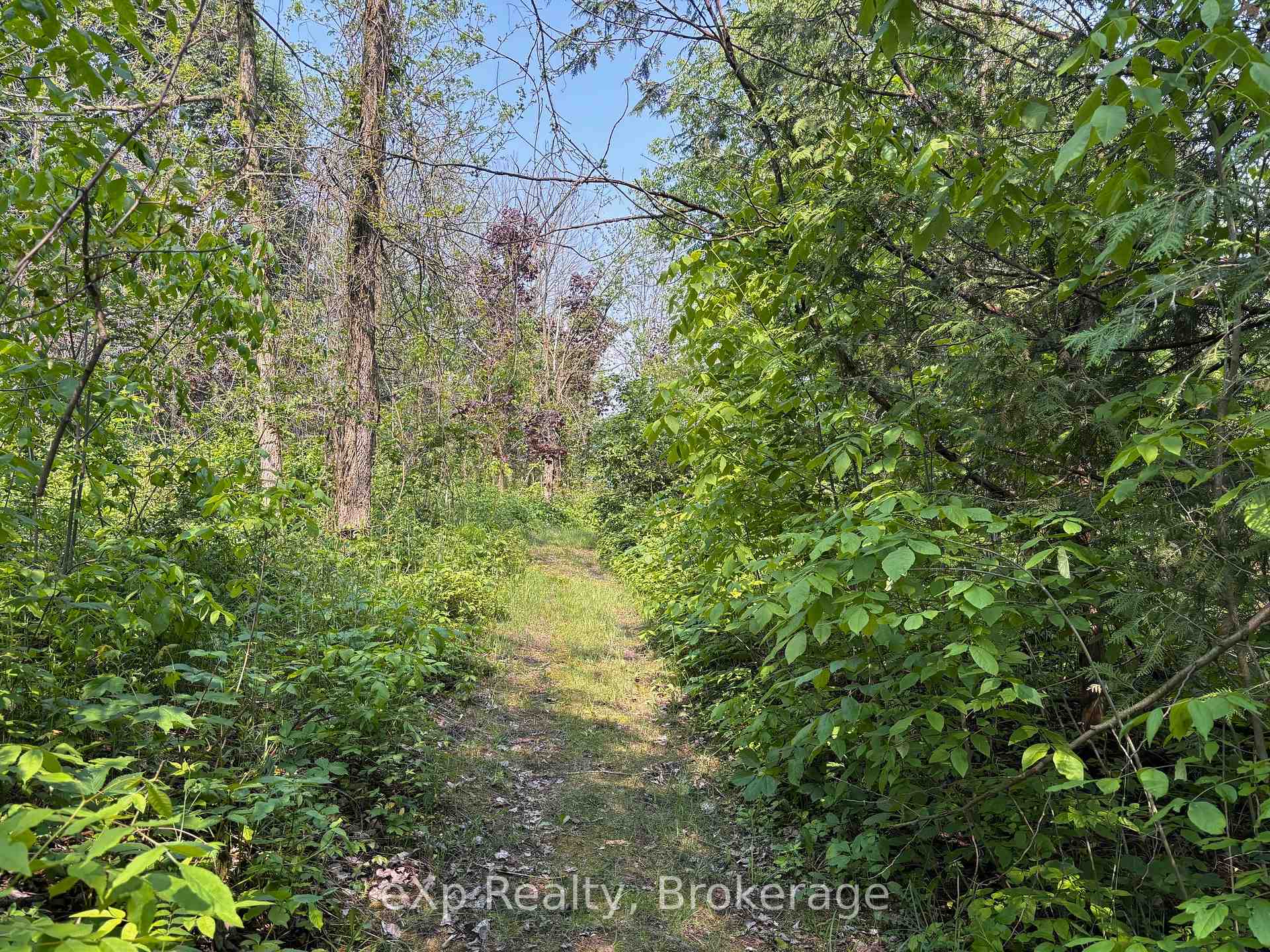 Photo 26 of 45 7th Avenue, Hanover — HOMEH
