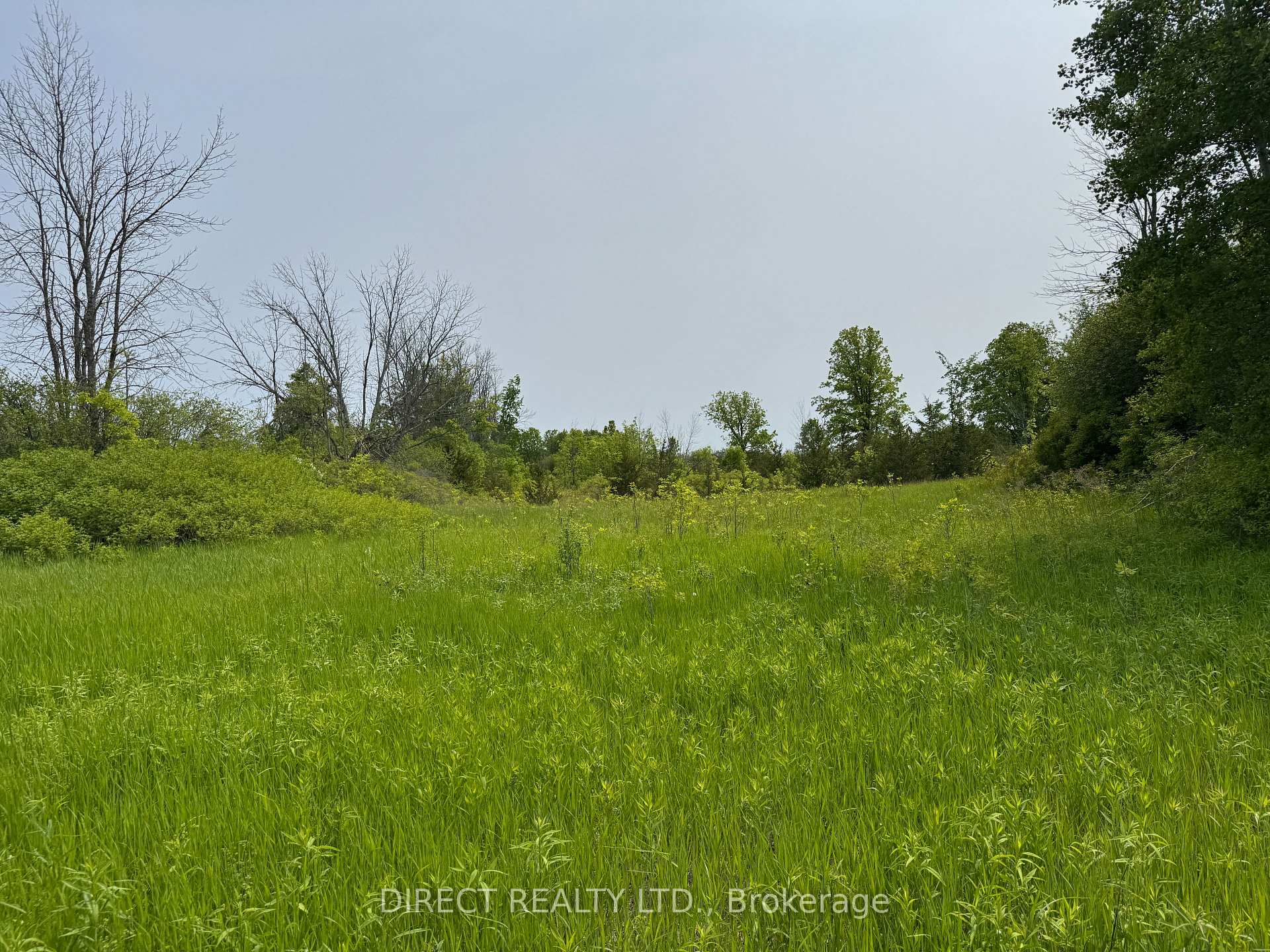 Photo 7 of Brennan Road, Belleville, Thurlow Ward — HOMEH