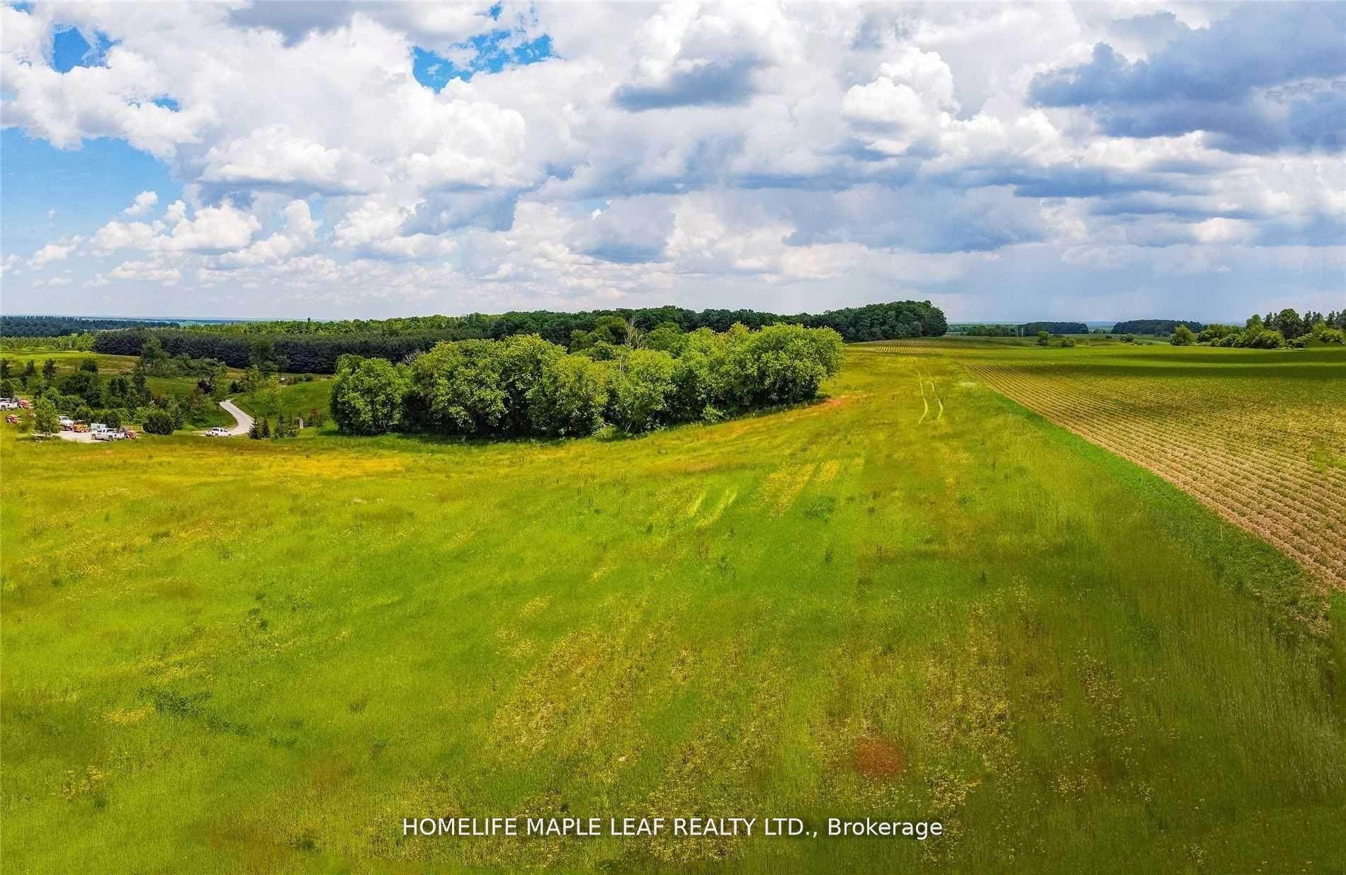 Photo 18 of 958423 7th Line E, Mulmur, Rural Mulmur — HOMEH