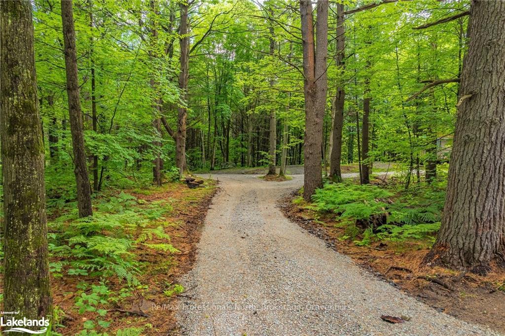 Photo 25 of 1043 South Sunset Bay Road, Gravenhurst, Muskoka (S) — HOMEH