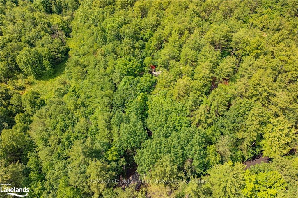 Photo 31 of 1043 South Sunset Bay Road, Gravenhurst, Muskoka (S) — HOMEH