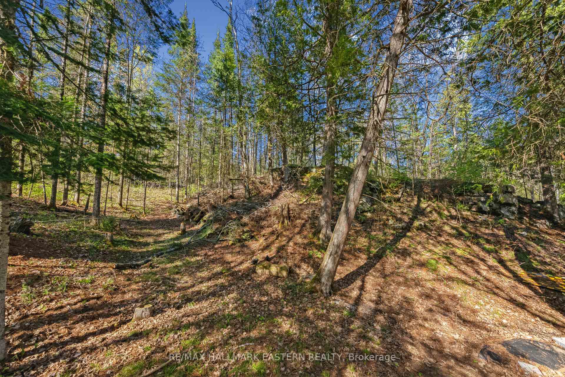 Photo 34 of 1025 Dickies Lane, Highlands East, Glamorgan — HOMEH