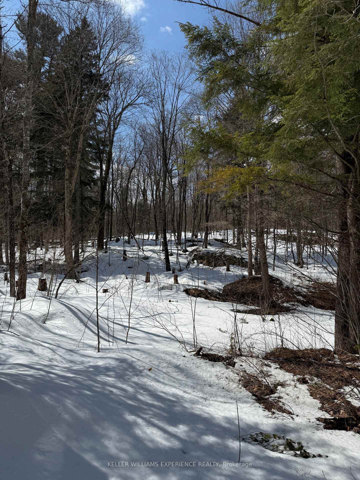 Photo 10 of LT 21 Con 1, McKellar — HOMEH