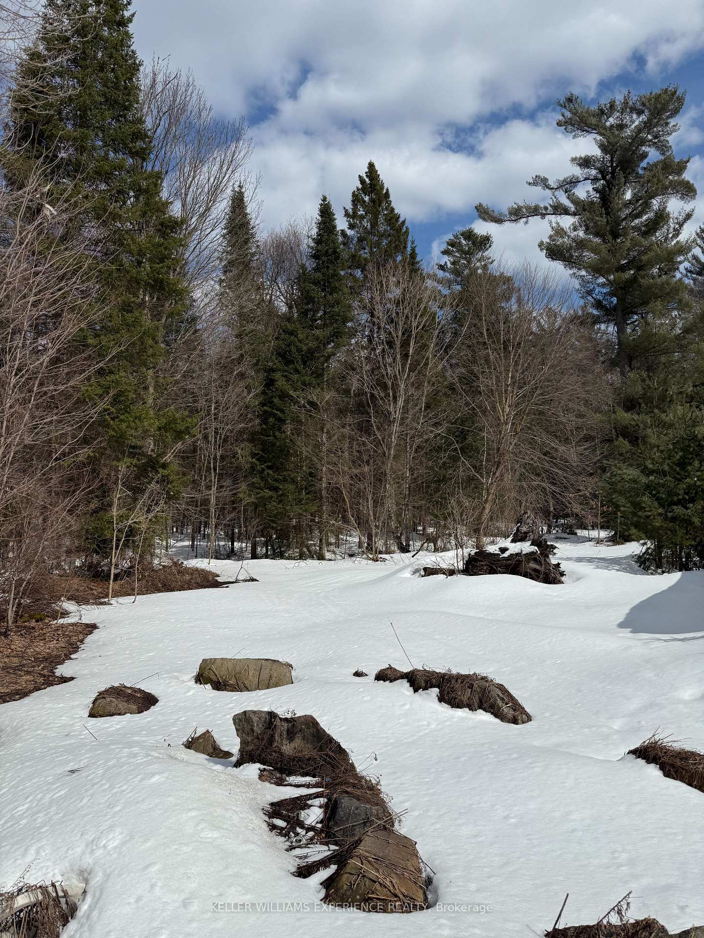 Photo 9 of LT 21 Con 1, McKellar — HOMEH