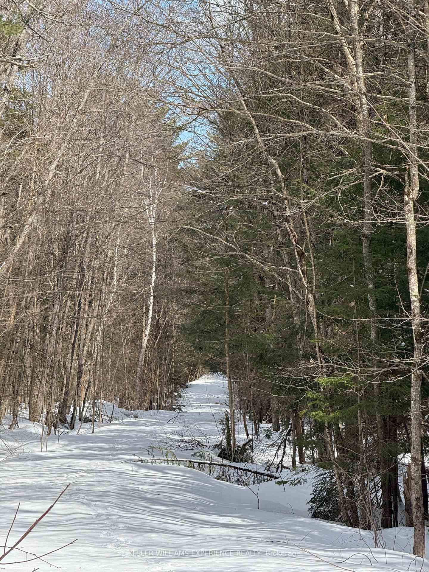 Photo 7 of LT 21 Con 1, McKellar — HOMEH