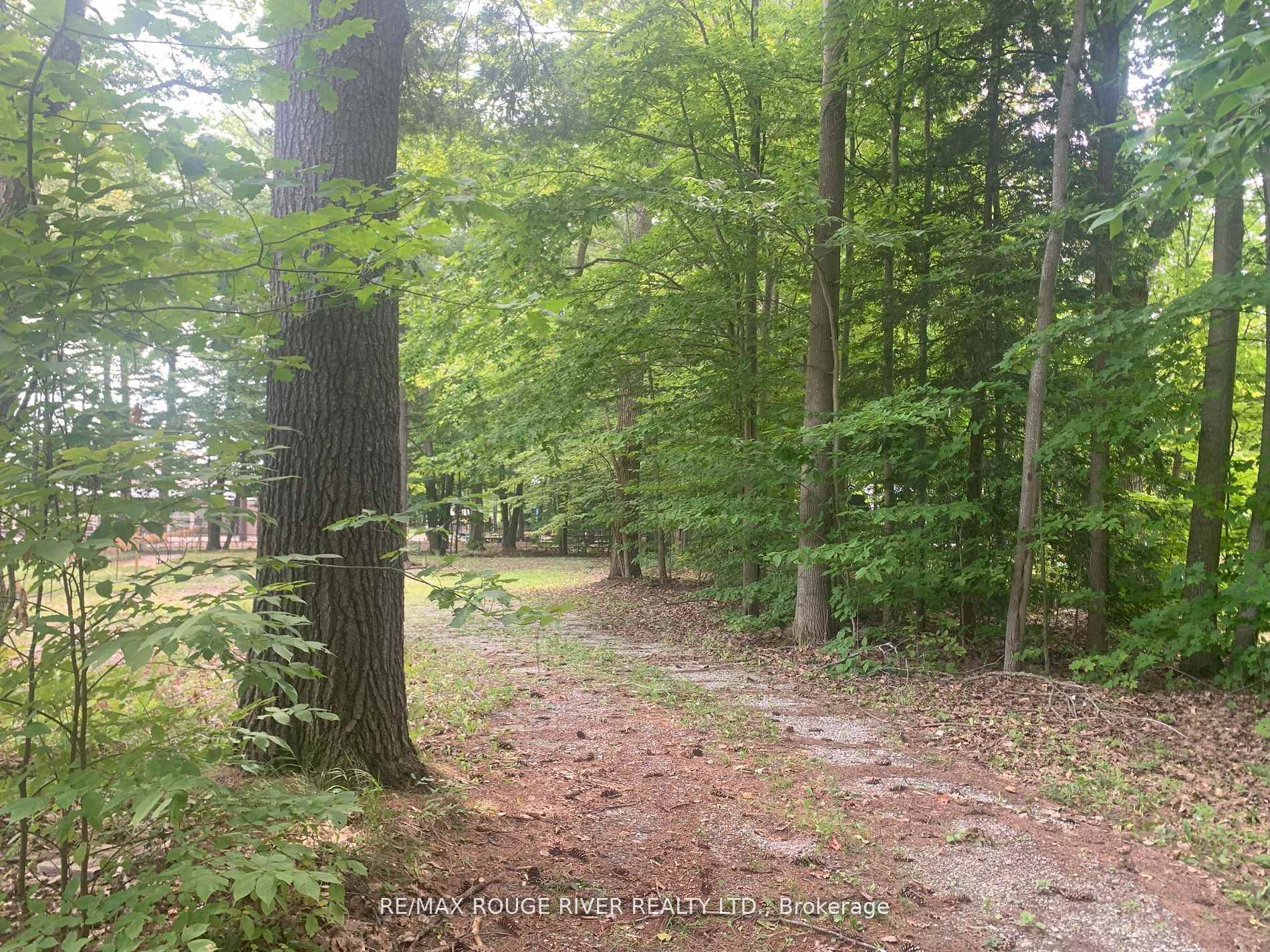 Photo 3 of 141 Oakwood Drive, Gravenhurst, Muskoka (S) — HOMEH