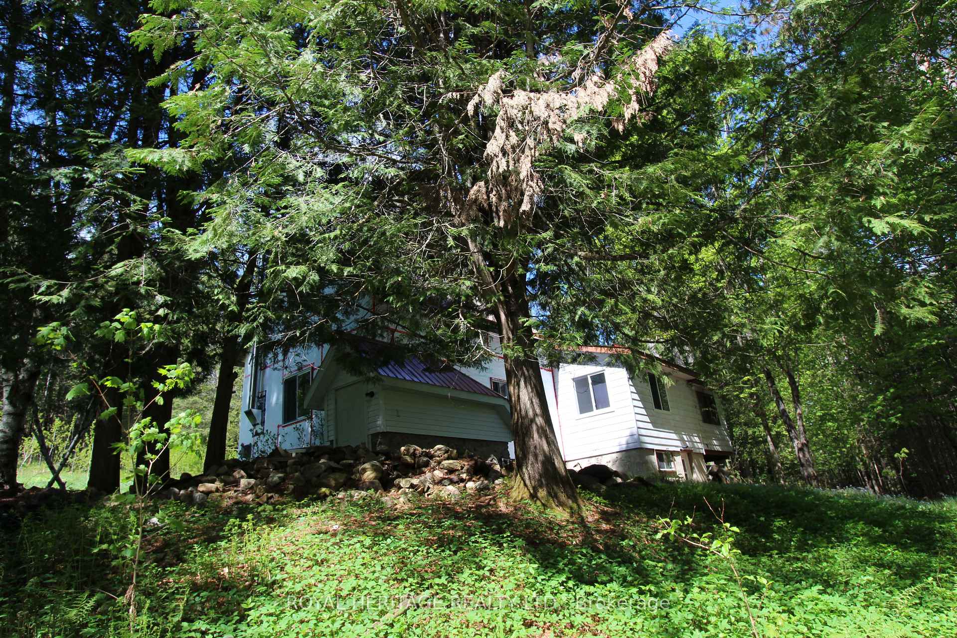 Front of 1059 Tortoise Drive