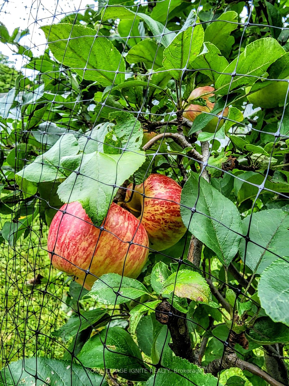 Photo 48 of 173 Ravenscroft Road, Ajax, Central West — HOMEH