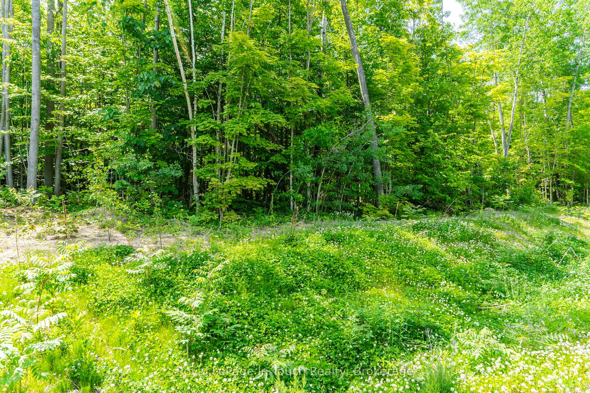 Photo 12 of Lot 41 Explorers Landing, Tiny, Rural Tiny — HOMEH