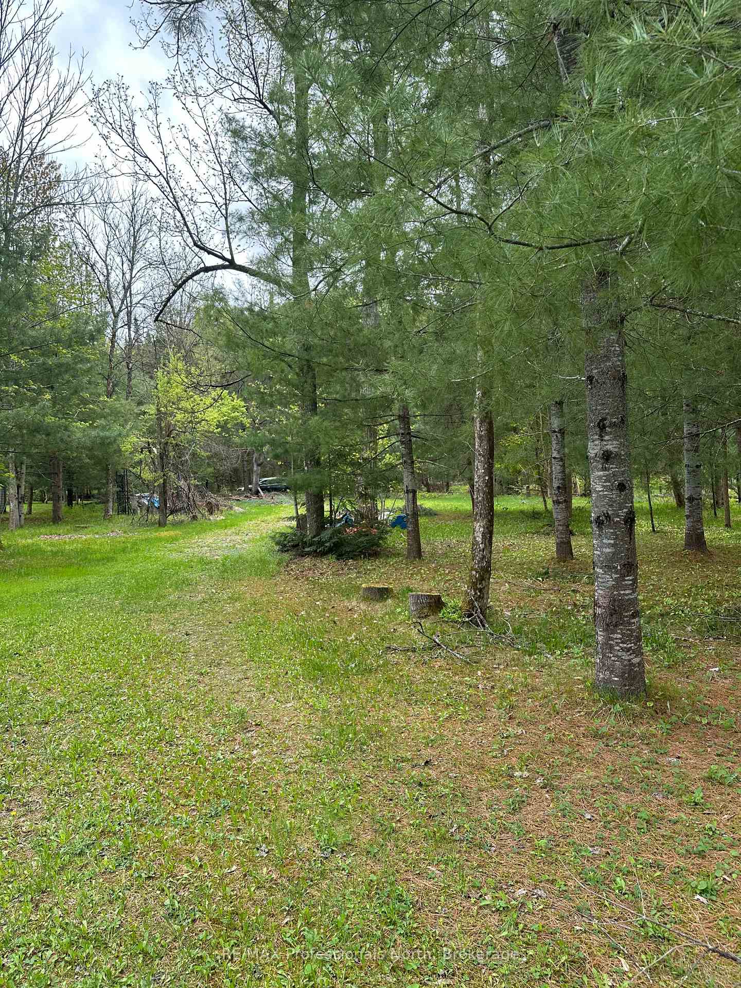 Photo 8 of 170 Cedar Shores Private, Bracebridge, Macaulay — HOMEH