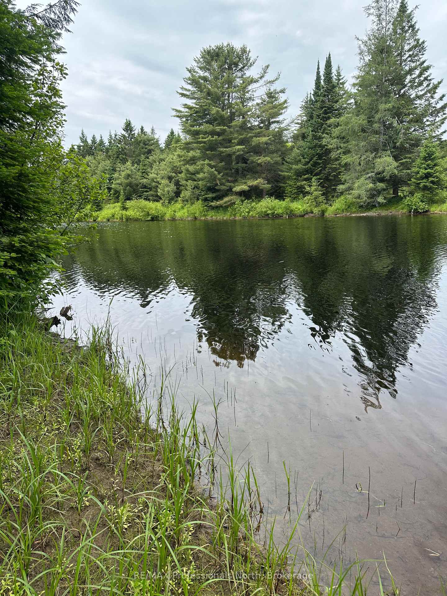 Photo 14 of 170 Cedar Shores Private, Bracebridge, Macaulay — HOMEH