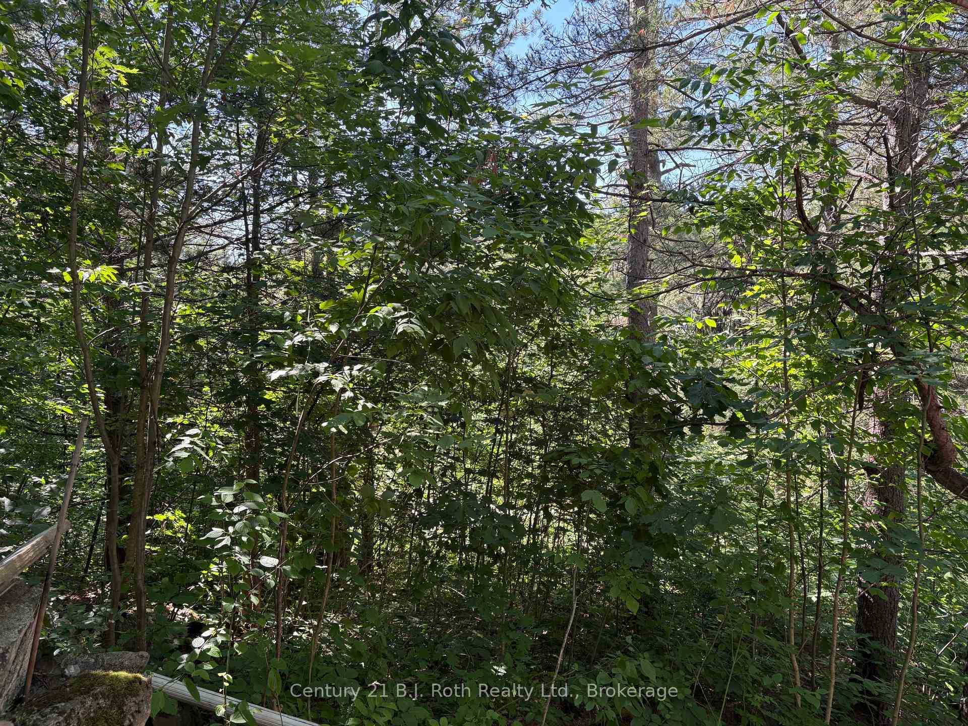 Photo 3 of PT LOT 16 Concession A, Gravenhurst, Morrison — HOMEH
