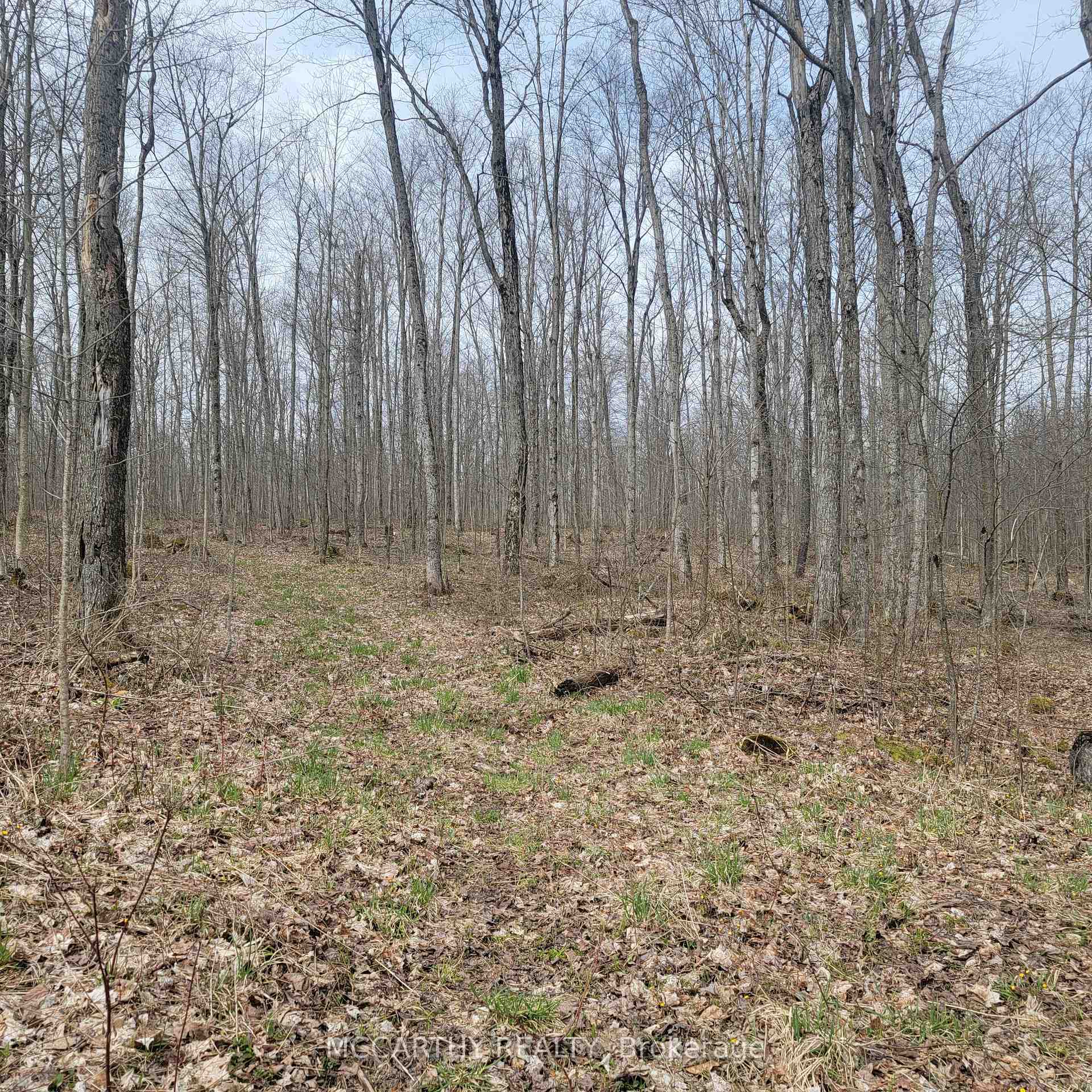 Photo 6 of 467323 Grey Rd 31, Grey Highlands — HOMEH