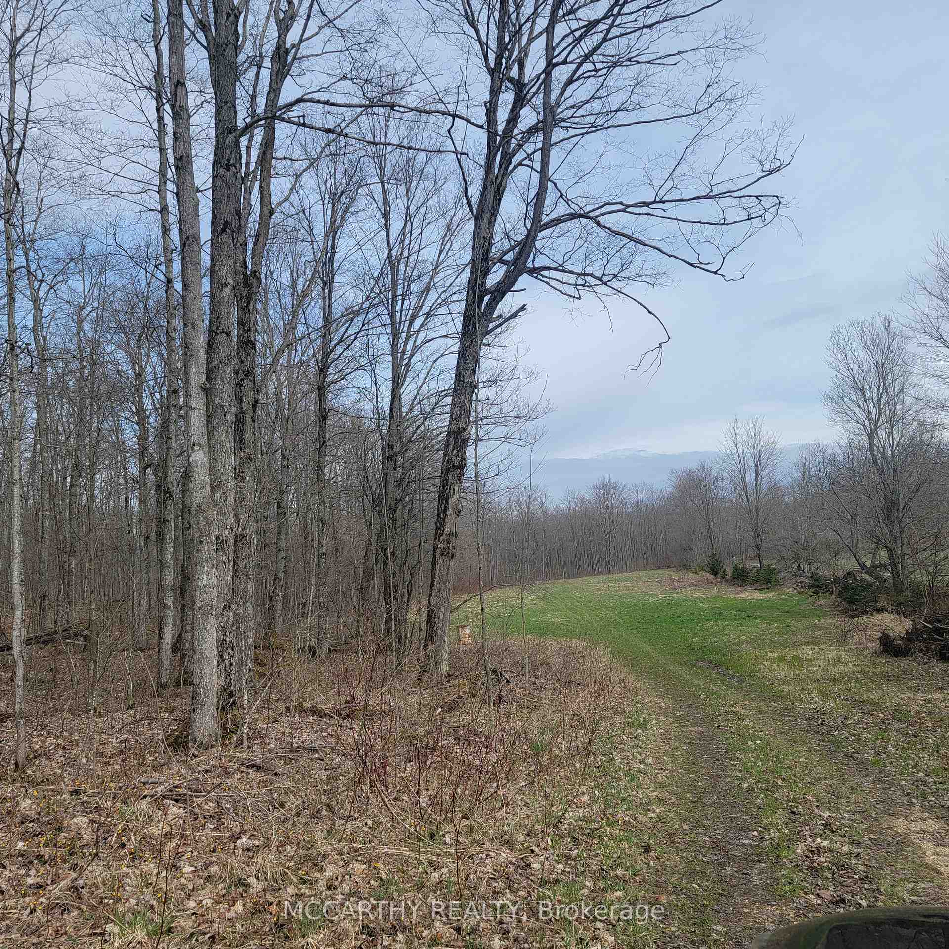 Photo 7 of 467323 Grey Rd 31, Grey Highlands — HOMEH