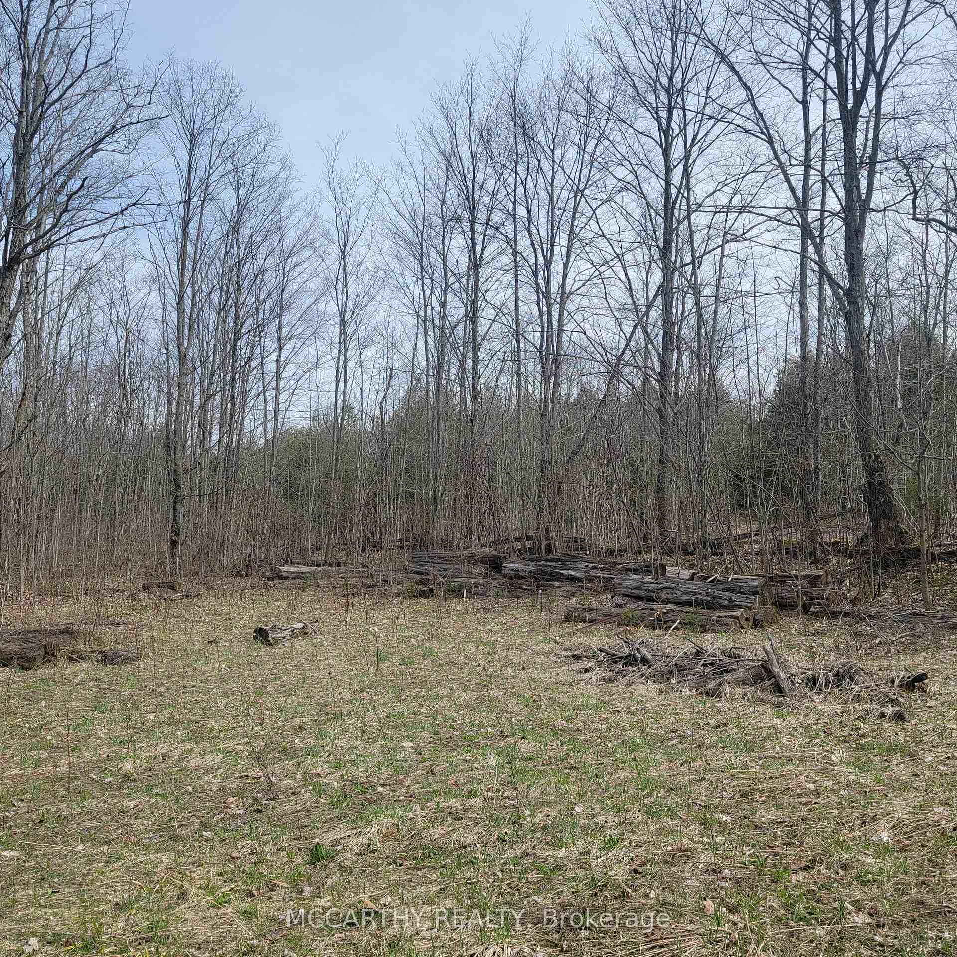 Photo 9 of 467323 Grey Rd 31, Grey Highlands — HOMEH