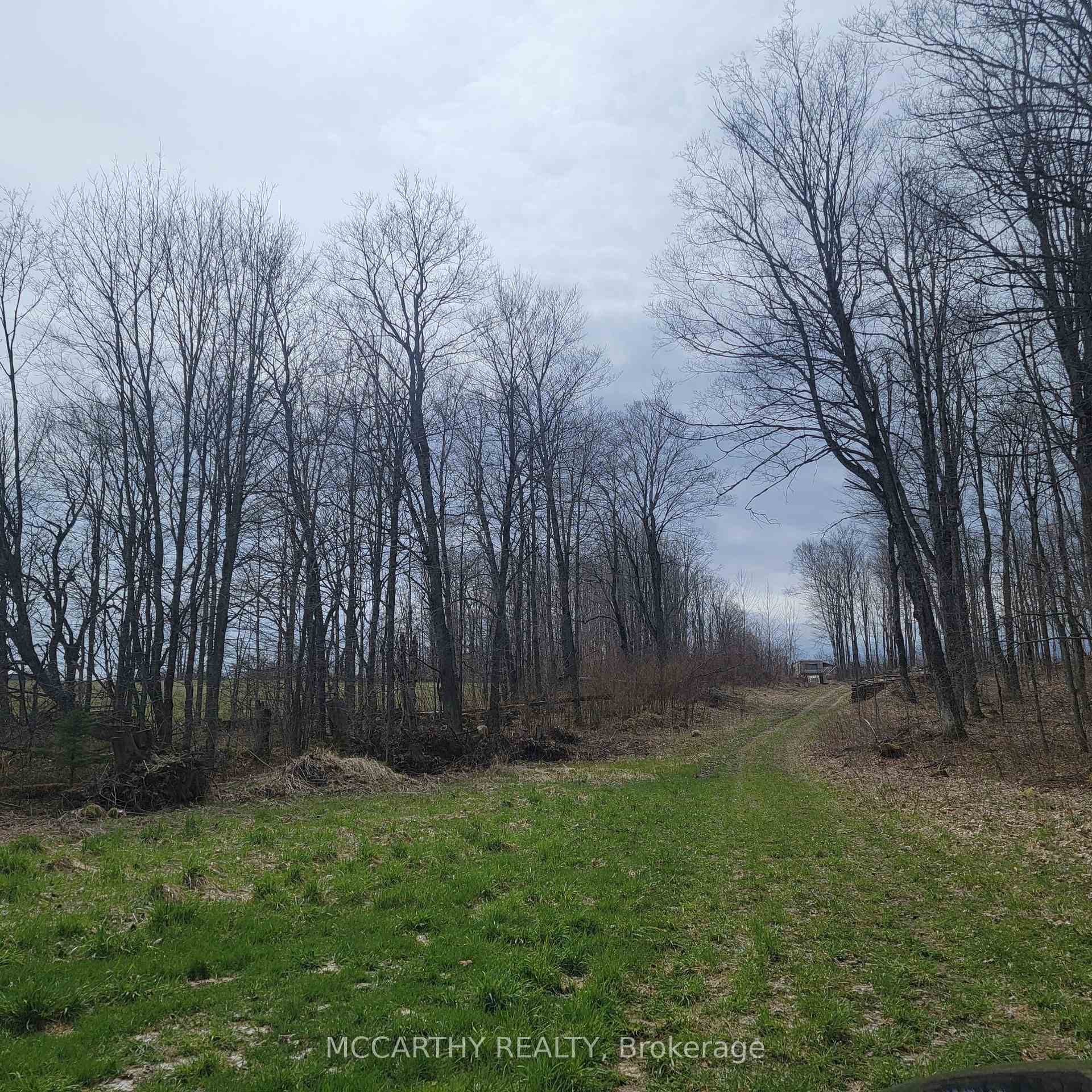 Photo 10 of 467323 Grey Rd 31, Grey Highlands — HOMEH