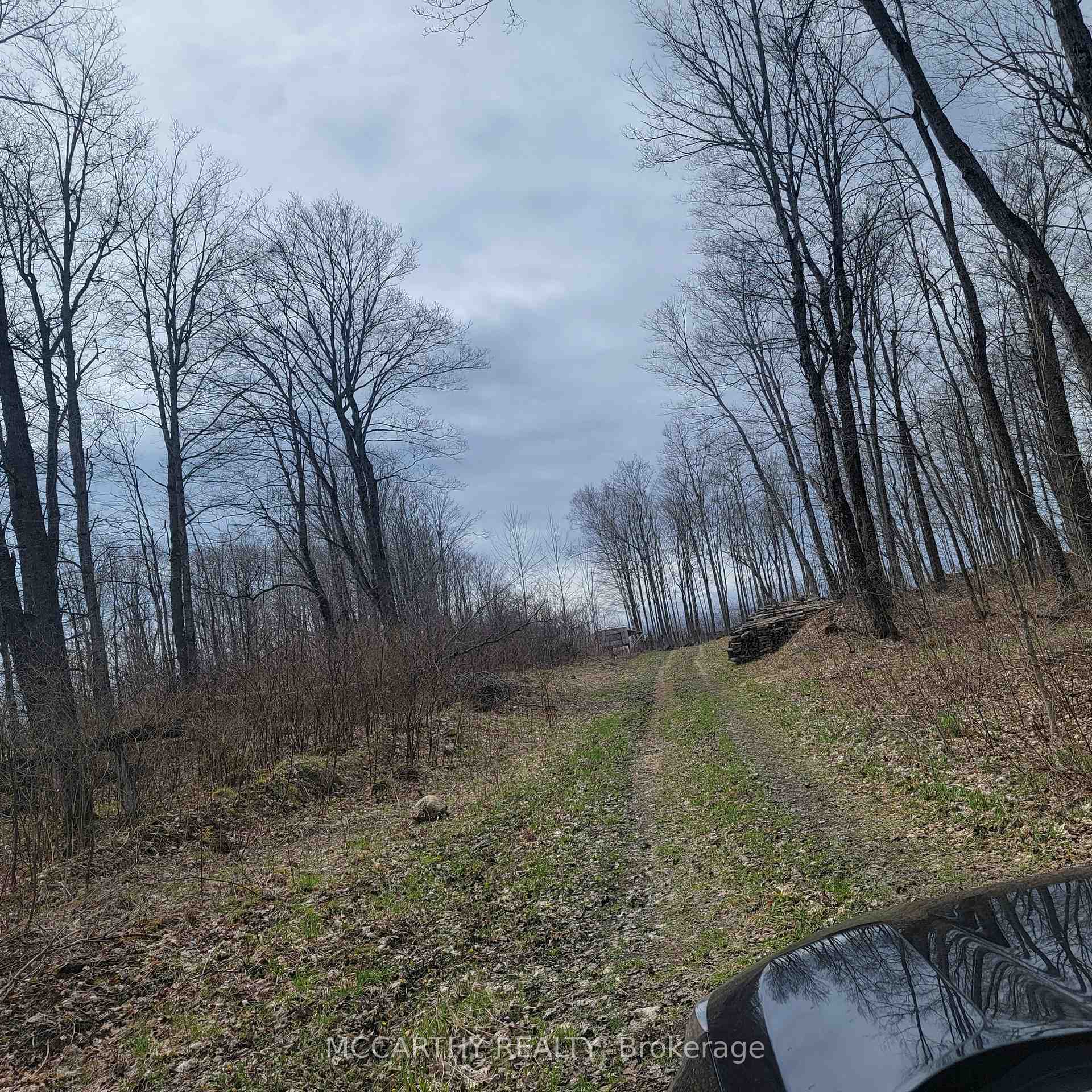 Photo 11 of 467323 Grey Rd 31, Grey Highlands — HOMEH