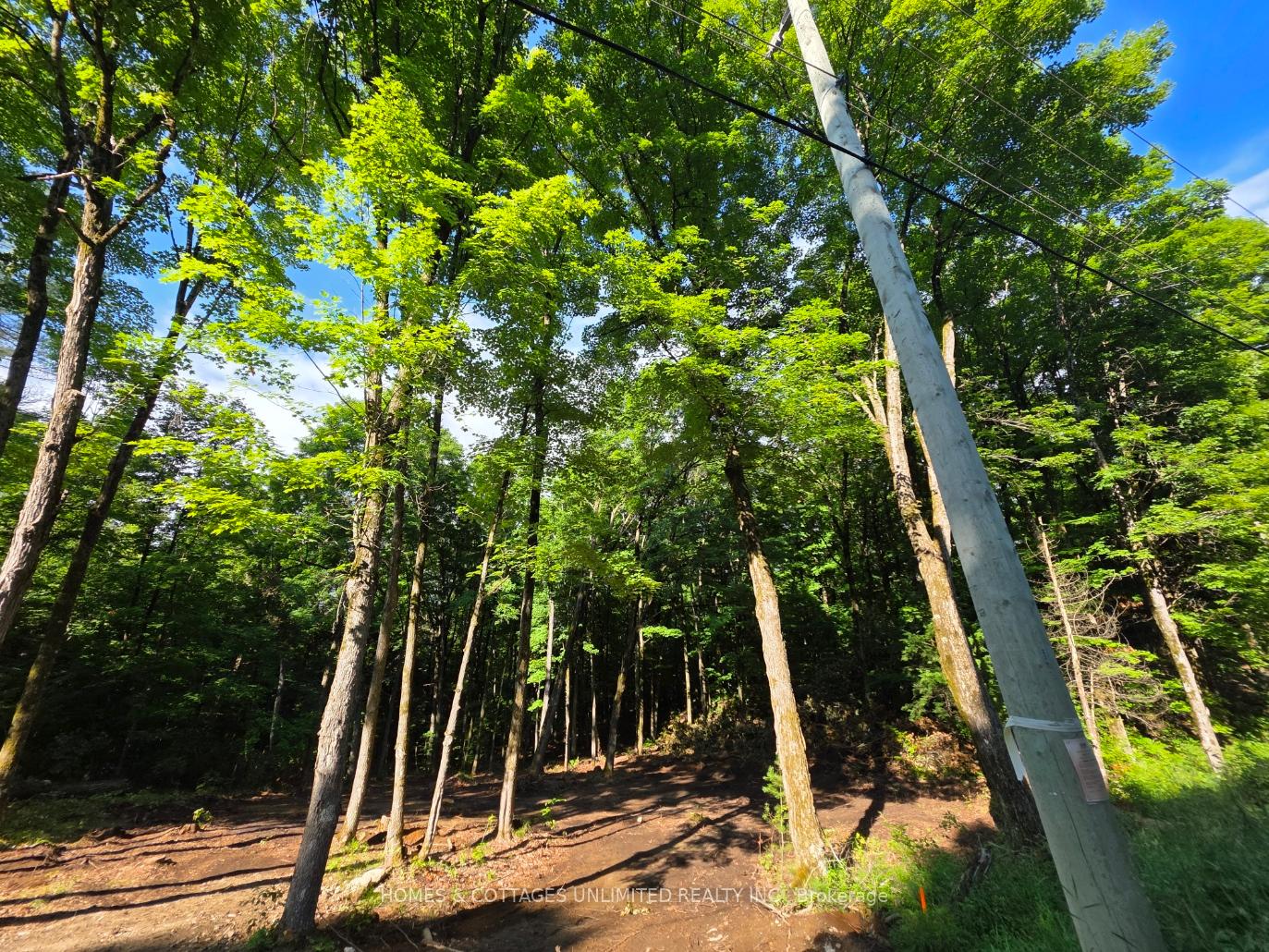 Photo 4 of 2456 2nd Conc Dalhousie Concession, Lanark Highlands, Lanark Highlands (Dalhousie) Twp — HOMEH